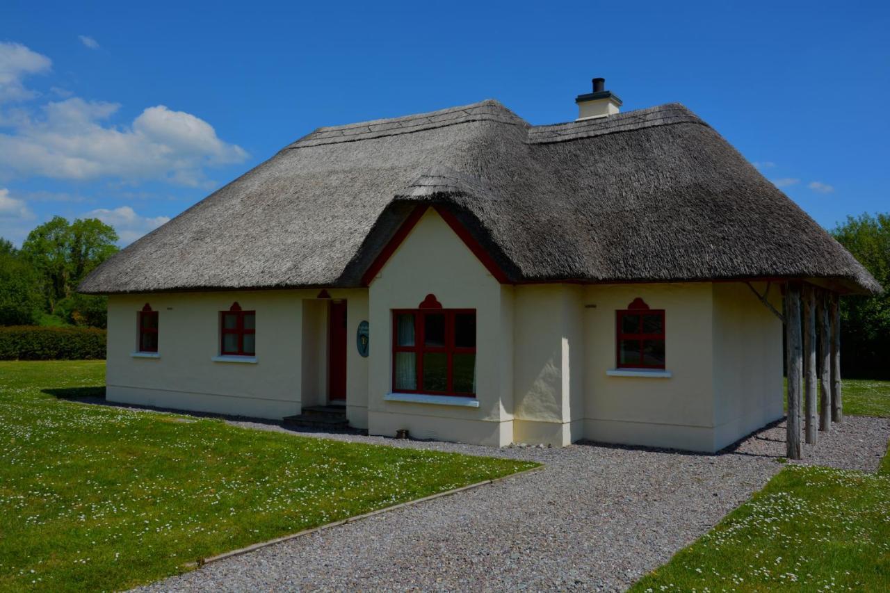 Amber Cottage キラーニー エクステリア 写真